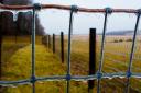Fence